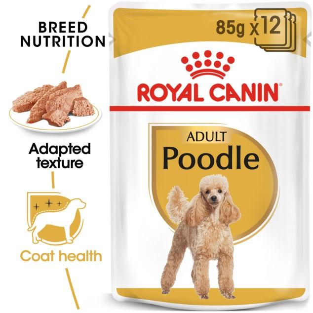 Royal Canin Poodle Wet Dog Food