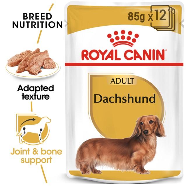 Royal Canin Dachshund Wet Dog Food