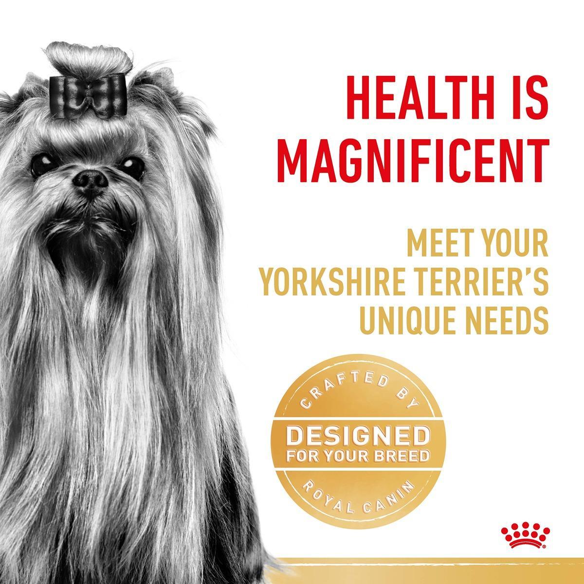 Royal Canin Yorkshire Terrier Wet Dog Food