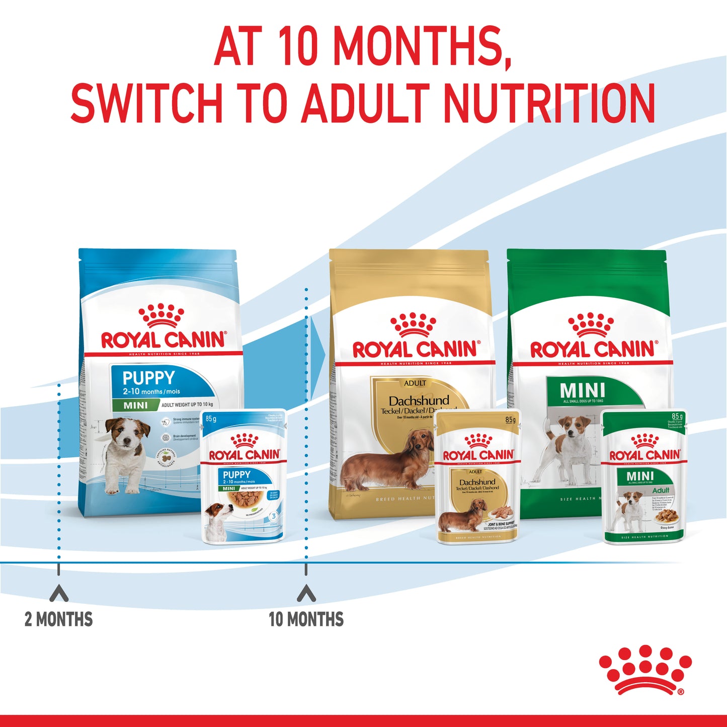 Royal Canin Mini Wet Puppy Food