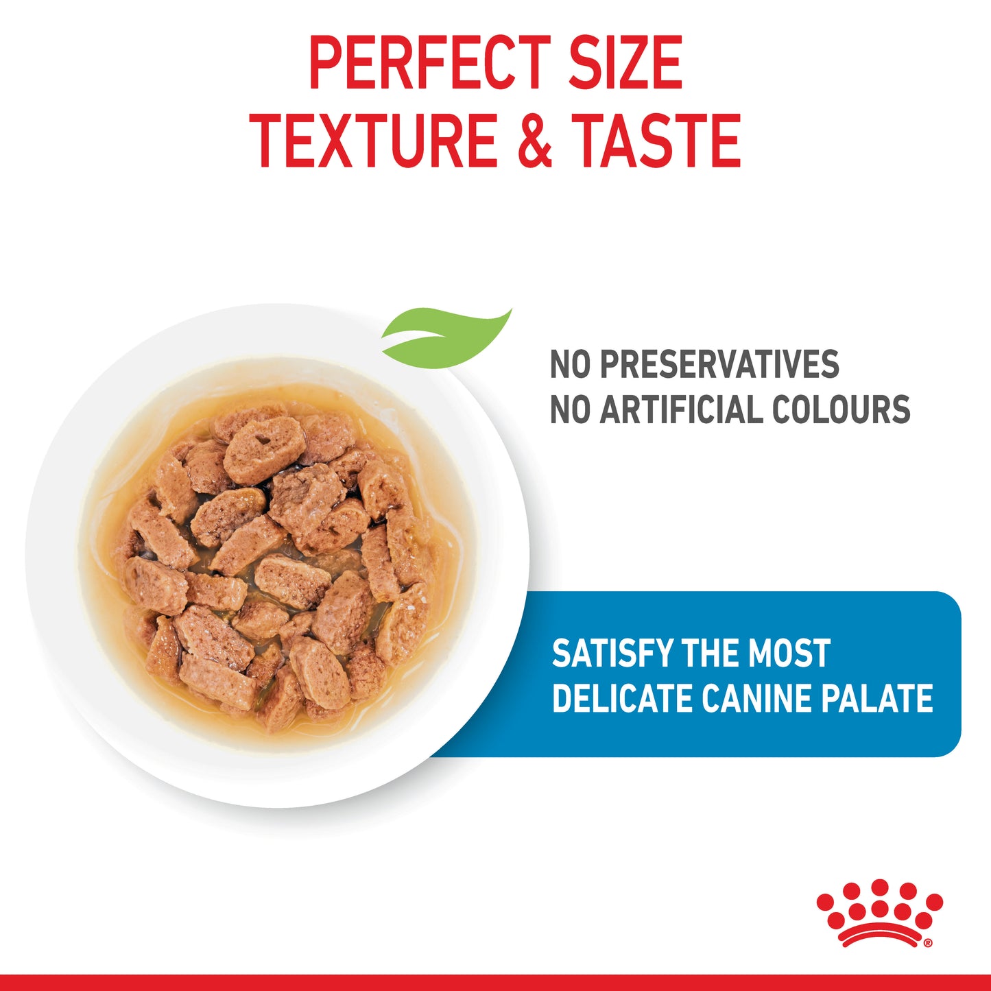 Royal Canin Mini Wet Puppy Food