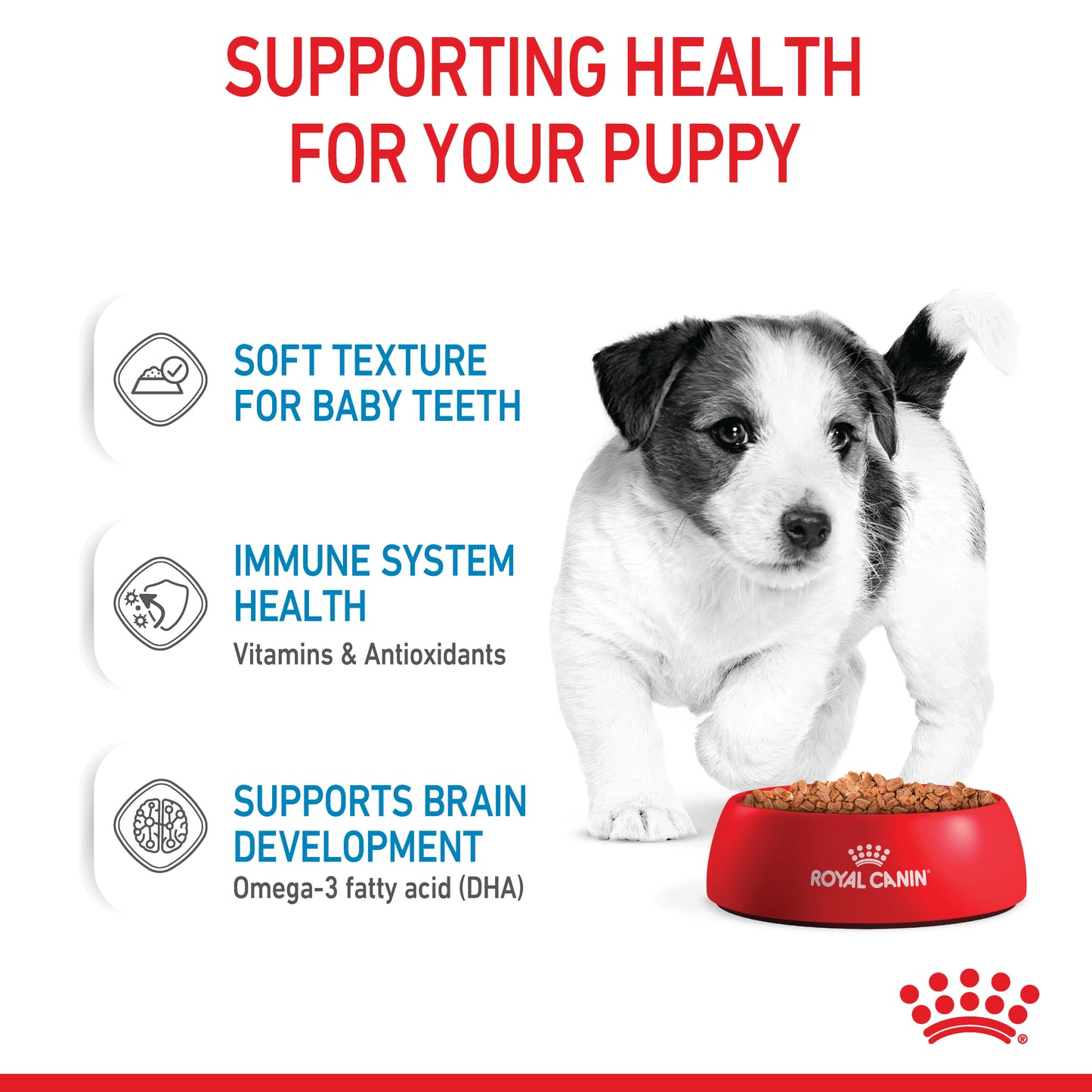 Royal Canin Mini Wet Puppy Food