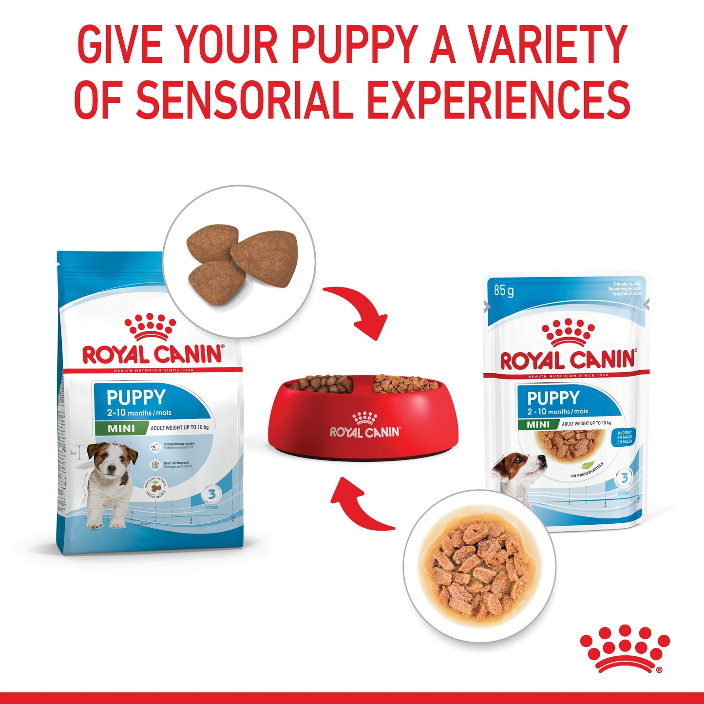 Royal Canin Mini Wet Puppy Food