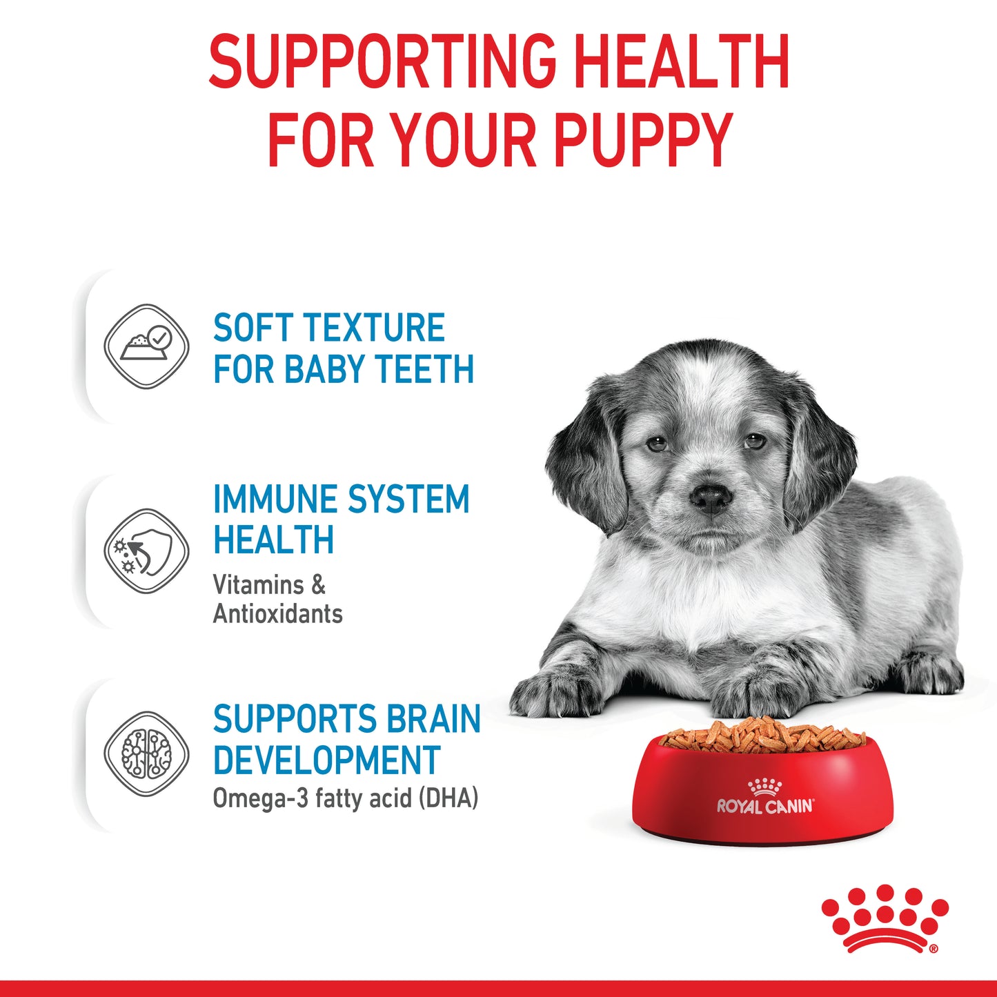 Royal Canin Medium Wet Puppy Food