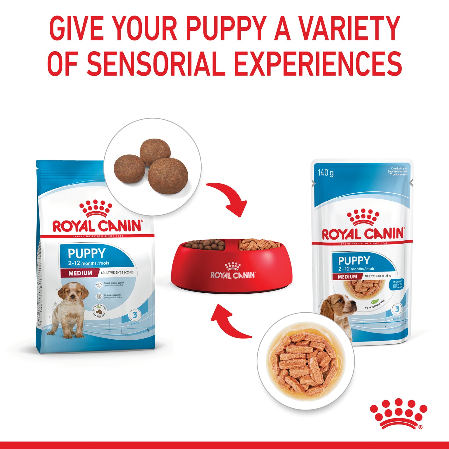 Royal Canin Medium Wet Puppy Food