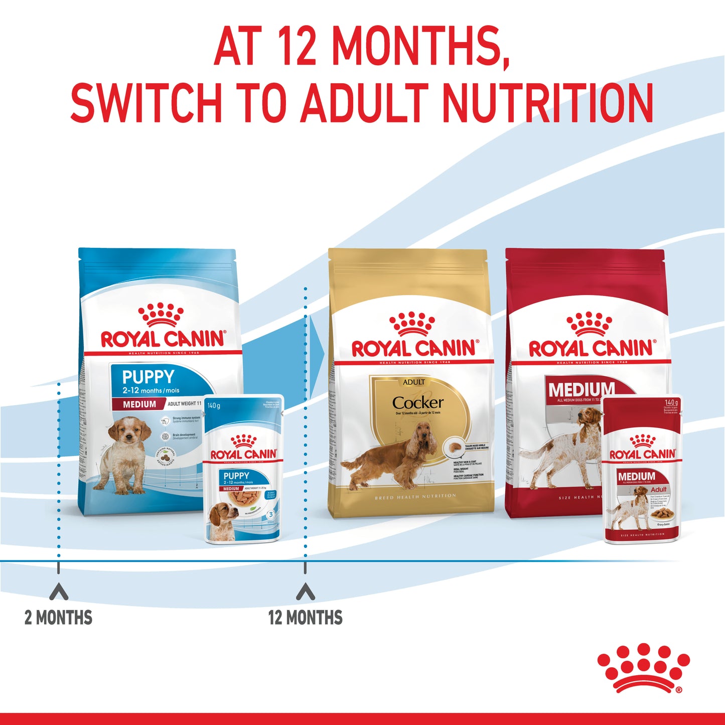 Royal Canin Medium Wet Puppy Food