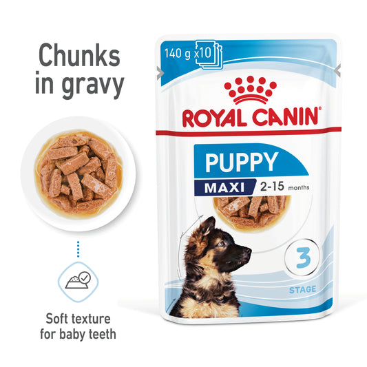 Royal Canin Maxi Wet Puppy Food