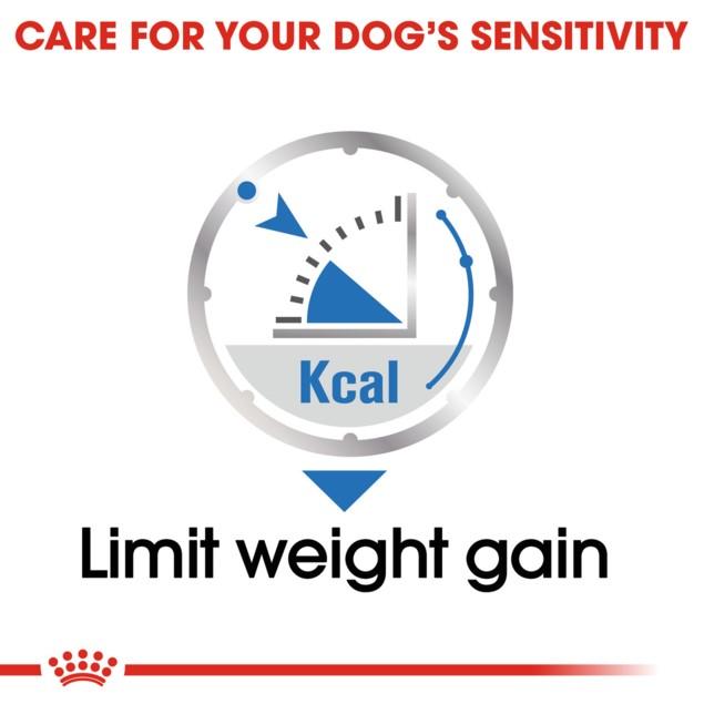 Royal Canin Light Weight Care Wet Dog Food