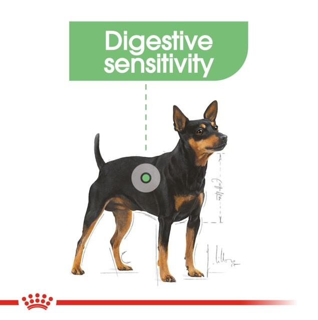 Royal Canin Digestive Care Wet Dog Food