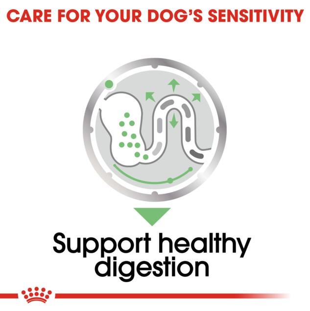 Royal Canin Digestive Care Wet Dog Food