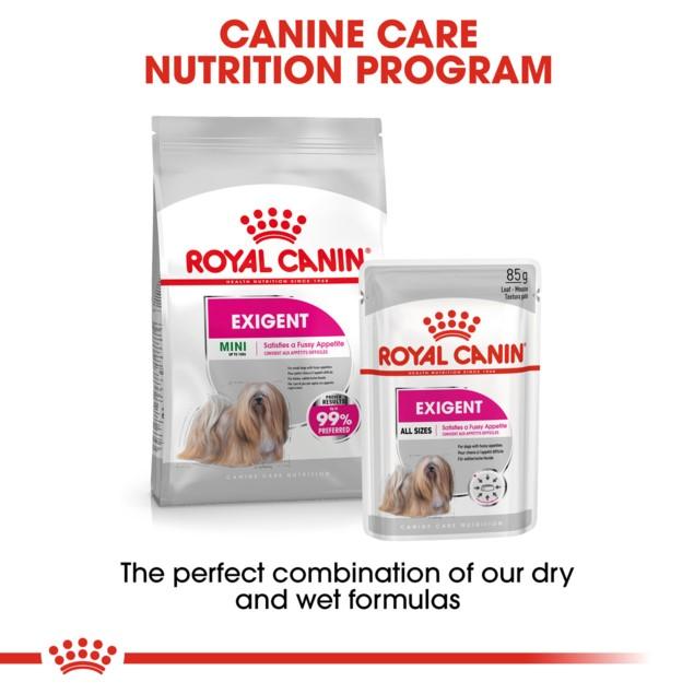 Royal Canin Exigent Wet Dog Food