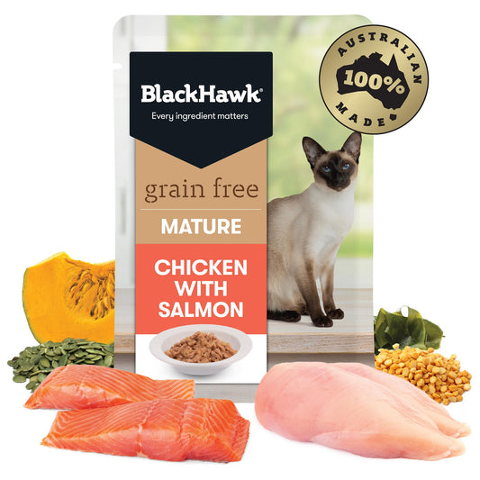 Black Hawk Chicken with Salmon Wet Mature Cat Food