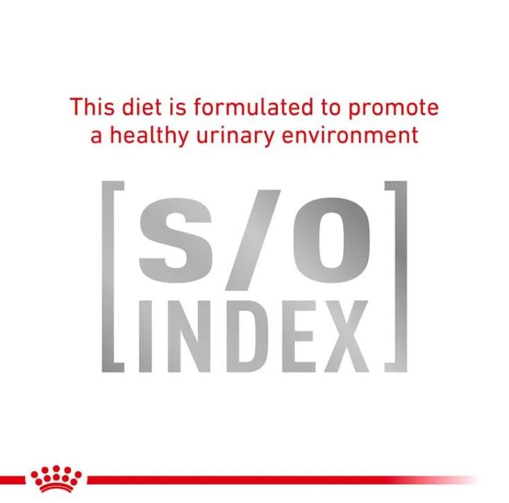 Royal Canin Veterinary Diet Urinary S/O Wet Dog Food