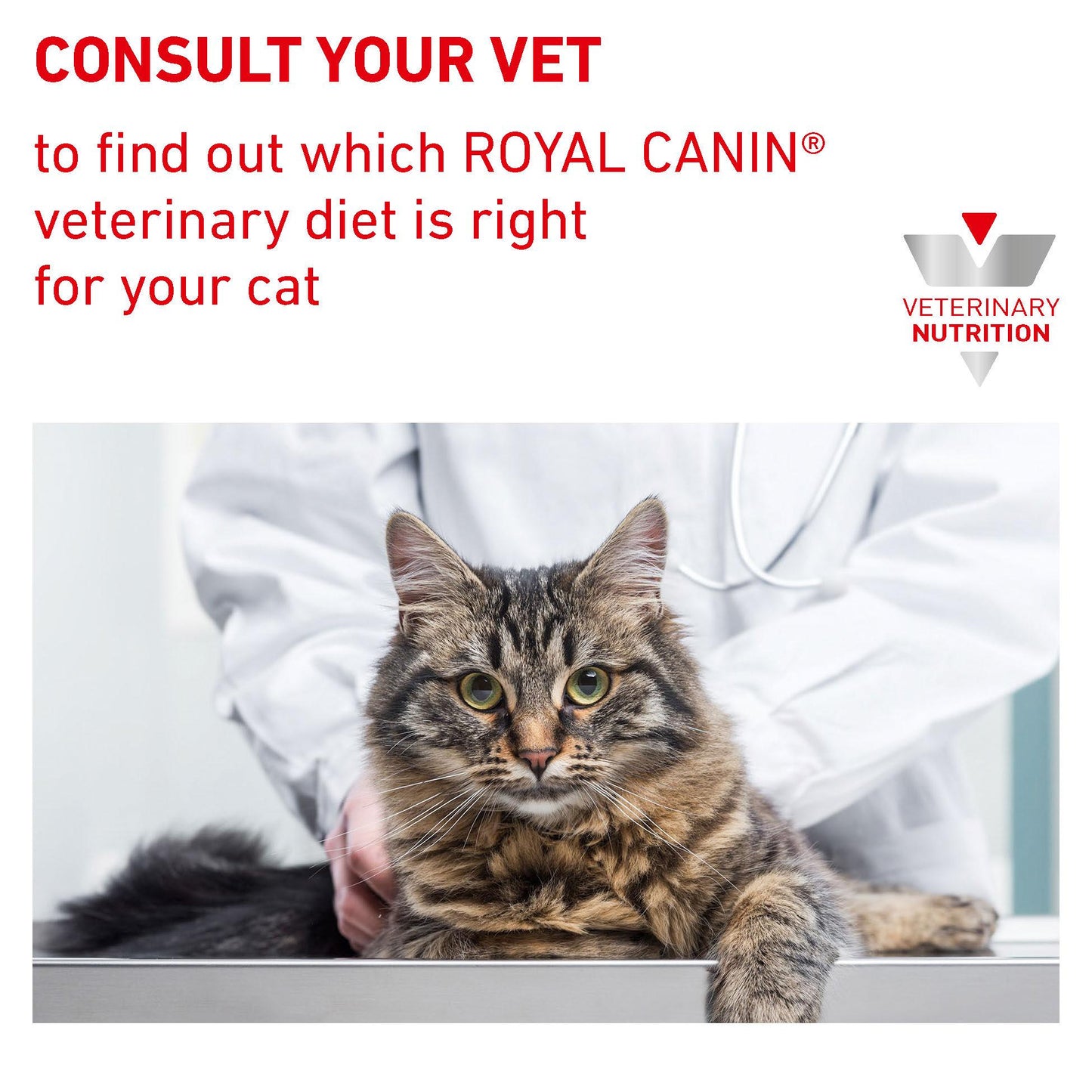 Royal Canin Veterinary Diet Feline Diabetic Wet Cat Food