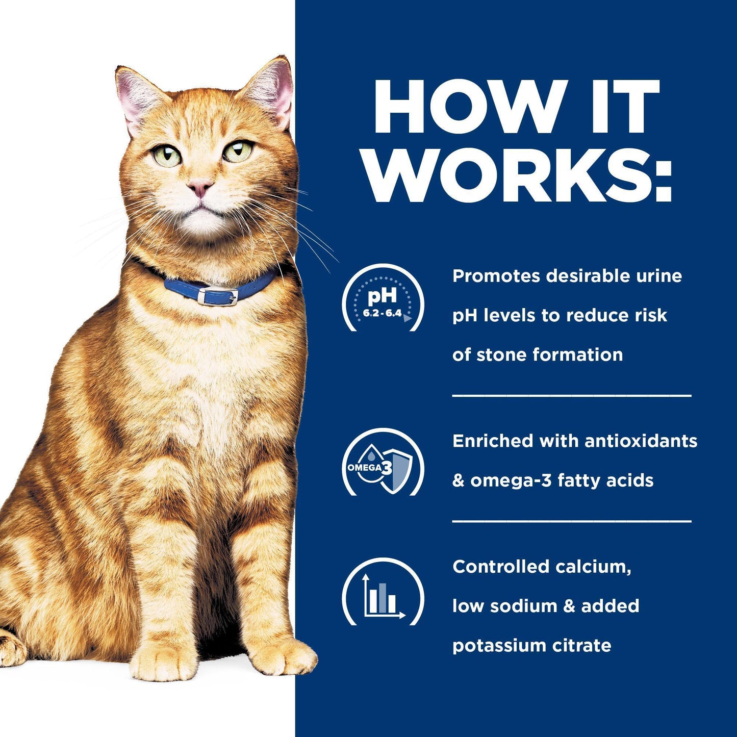 Hill's Prescription Diet c/d Multicare Urinary Care Cat Food Pouches