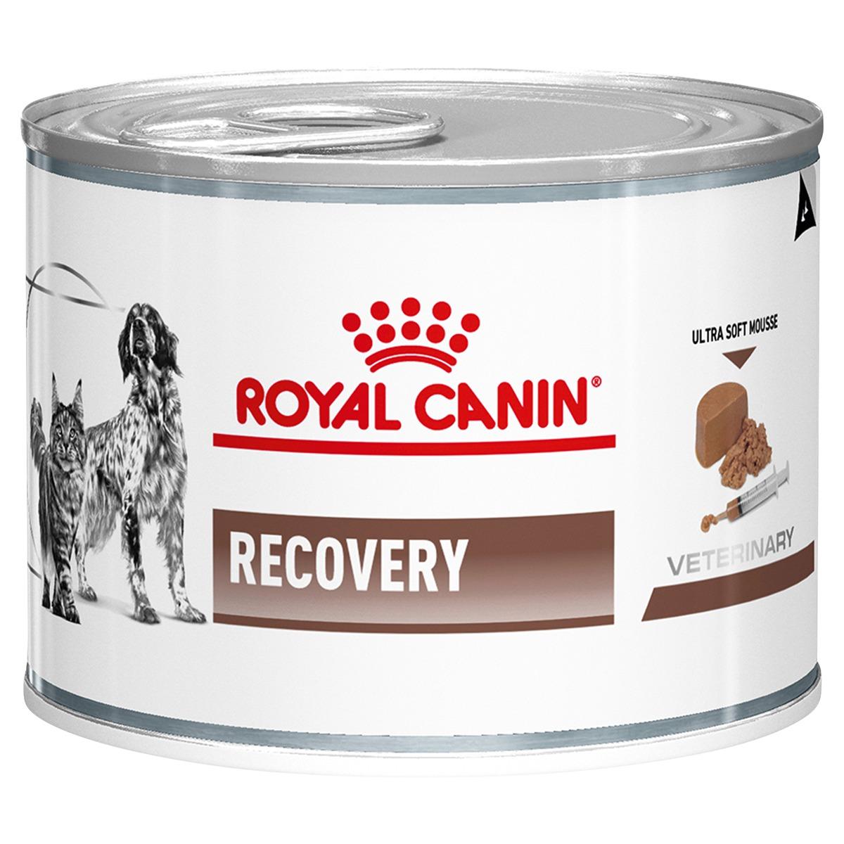 Royal Canin Veterinary Diet Recovery Formula Wet Pet Food