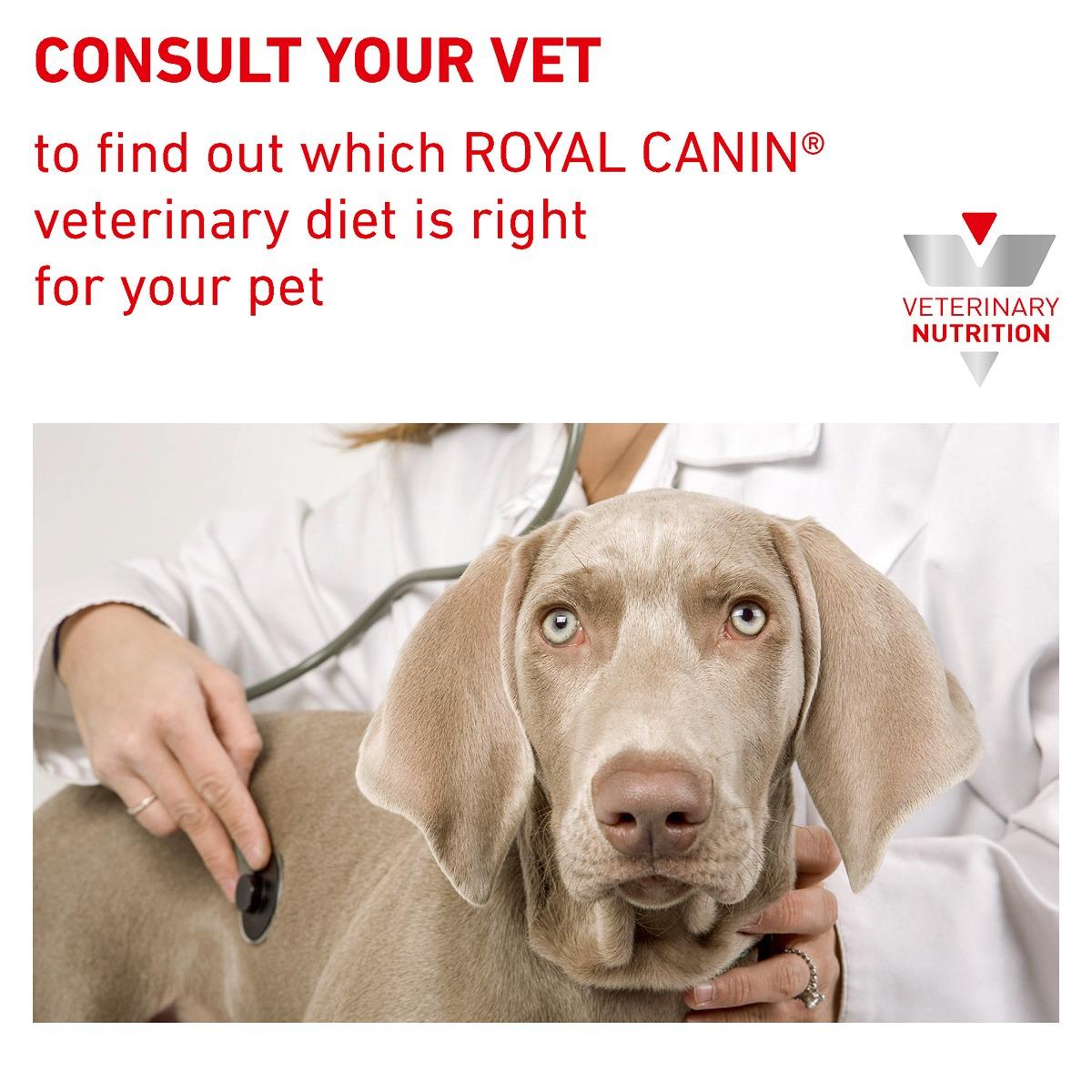 Royal Canin Veterinary Diet Recovery Formula Wet Pet Food