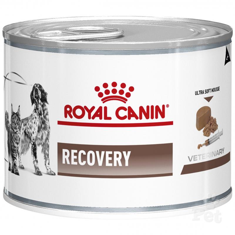 Royal Canin Veterinary Diet Recovery Formula Wet Pet Food