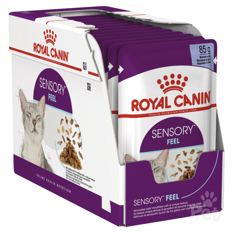 Royal Canin Feline Health Nutrition Sensory Feel Jelly Wet Cat Food